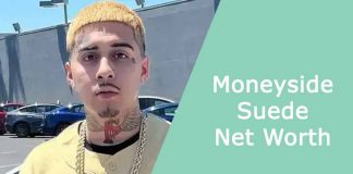 Moneyside Suede Net Worth