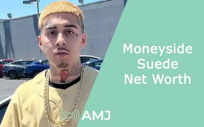 Moneyside Suede Net Worth