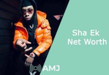 Sha Ek Net Worth