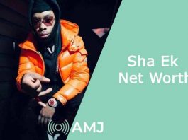 Sha Ek Net Worth