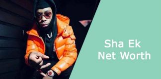 Sha Ek Net Worth