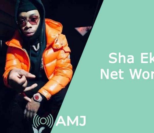 Sha Ek Net Worth