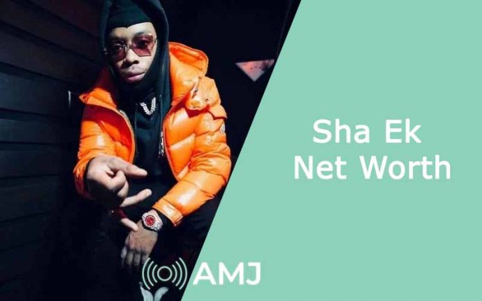 Sha Ek Net Worth